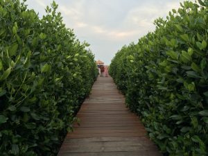 Japfa Comfeed Resmi Serahkan Kawasan Ekowisata Petengoran ke Pemkab Pesawaran