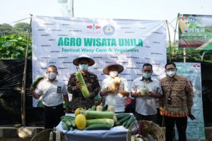 Agrowisata Unila Panen Melon Resmi Dibuka, Cocok Untuk Menunggu Waktu Berbuka Puasa