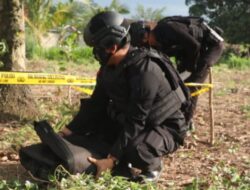 Granat Aktif Ditemukan Sutadi di Kebun Singkong, Kasubden Jibom Iptu Mantun Manik Pimpin Pengamanan dan Pendisposalan