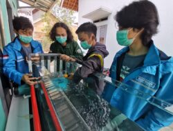 Mahasiswa ITERA Rancang Inovasi Pendorong Arus Laut untuk Pembangkit Listrik