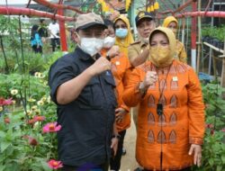 Pemkab Lamteng Torehkan Prestasi di Tingkat Provinsi