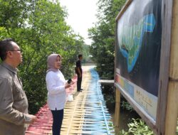 100 Hari Progja, Rektor Tinjau Ekowisata Mangrove Cukuh Nyinyi