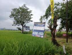 DPRD Pringsewu Soroti Lahan Persawahan Jadi Kavling Perumahan