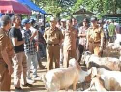 Asisten Bidang Ekonomi dan Pembangunan Lamteng Rusmadi Monitoring Pasar Kambing dan Kandang Sapi Margo Lembu