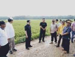 Pj Bupati Pringsewu Tinjau Jalan Rusak di Kecamatan Banyumas