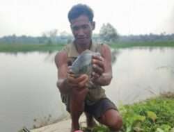 Mancing di Embung Umbul Niti Jatimulyo Lampung Selatan Boimin Dapet Babon Nila