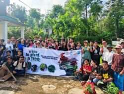 SMA Xaverius Bandar Lampung Tanam Pohon di Gunung Betung