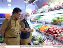 Sidak Pasar Jelang Idul Fitri 1445 H, Kepala Dinas KPTPH Provinsi Lampung Bani Ispriyanto: Tidak Ditemukan Kandungan Zat Berbahaya