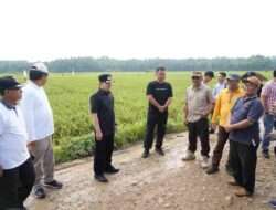 Pj.Bupati Pringsewu Tinjau Jalan Rusak di Kecamatan Banyumas