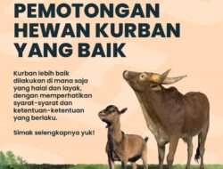 Lokasi Pemotongan Hewan Kurban yang Baik