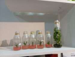 Penelitian Tanaman dan Inovasi Produk Anggrek dari LPPM Unila