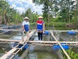 Transformasi Bekas Galian C: Pertamina Ciptakan Program Budidaya Ikan Air Tawar Berkelanjutan di Kampung Kreatif Sugihwaras