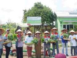 Pengelolaan Air Berbasis Energi Surya: Pertamina Bantu Atasi Tantangan Pertanian Desa Pulau Semambu