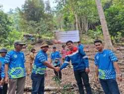 Penanaman Pohon Durian di Bangka: Pertamina Dorong Transformasi Ekonomi Berbasis Komoditas Lokal