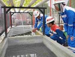 Kolaborasi dengan Mitra Binaan, Ketua Sahabat Farm Melepas 200 Ekor Lele untuk Dikembangkan Pekerja Pertamina di Rumah Pembibitan