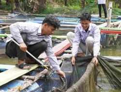 Muda dan Berdaya: Kelompok Pemuda Tani Millenial, Regenerasi Local Hero dalam Budidaya Ikan Air Tawar Berkat Pendampingan Pertamina