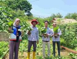 Transformasi Hijau Pertamina: Lahan Bekas Galian Jadi Sumber Pangan dan Produk UMKM