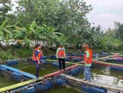 Optimalisasi Manajemen Budidaya Ikan: Pertamina Berikan Pelatihan RSD untuk Kelompok Tani Millenial