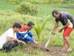 Upaya Minimalisir Emisi Gas Rumah Kaca, Pertamina Adakan Kegiatan Konservasi Pohon di Kawasan Ring 1