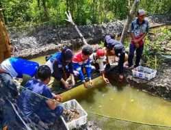 Komitmen Net Zero Emission: Pertamina Implementasikan Silvofishery di Kawasan Mangrove Pesisir Pangkal Babu