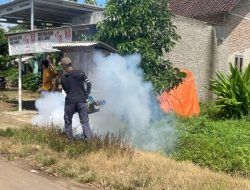 Respon Penyebaran Kasus DBD, Puskesmas Kalirejo Pesawaran Gelar Serangkaian Upaya Mitigasi