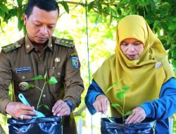 Pringsewu Luncurkan Gerakan Tanam Cabai Massal