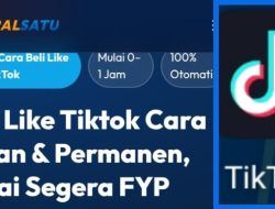 Mengapa Followers Berkualitas Lebih Penting dari Jumlah: Studi Kasus Viralsatu.com