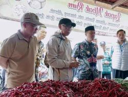 Plt Kadis Perindag Provinsi Lampung M. Zimmi Skil : Stok Bahan Pokok Tercukupi Hingga Awal Tahun