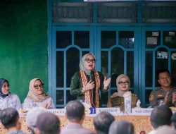 Mengangkat Potensi Alpukat Siger Lewat Transformasi Koperasi