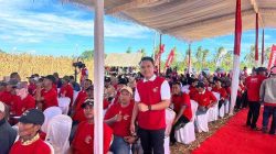 Panen Raya Jagung GNTI, Anggota DPRD Pesawaran Wanda Arista Serap Aspirasi Petani Sinar Jati