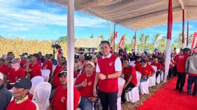 Panen Raya Jagung GNTI, Anggota DPRD Pesawaran Wanda Arista Serap Aspirasi Petani Sinar Jati