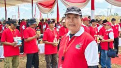 Wakil Ketua II DPRD Kabupaten Pesawaran Ir. Sarwoko Hadiri Panen Raya Jagung di Desa Sinar Jati Tegineneng