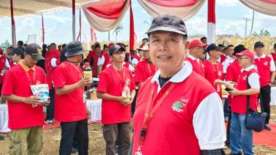 Wakil Ketua II DPRD Kabupaten Pesawaran Ir. Sarwoko Hadiri Panen Raya Jagung di Desa Sinar Jati Tegineneng
