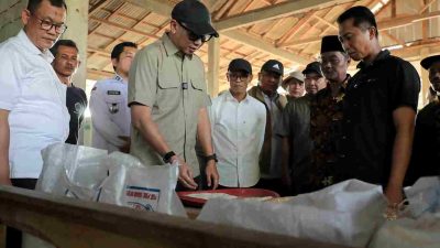 Gubernur Mirza Tinjau Pasar Murah di Bandar Negeri Suoh, Warga Antusias Berburu Bahan Pokok