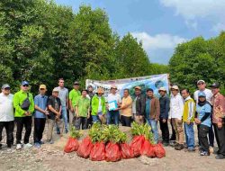 Forum CSR Lampung Dukung Pelestarian Lingkungan, Tanam Mangrove di Merak Belantung Kalianda