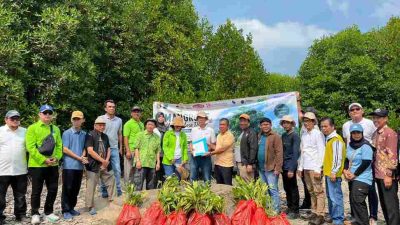 Forum CSR Lampung Dukung Pelestarian Lingkungan, Tanam Mangrove di Merak Belantung Kalianda