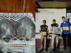 Barantin Temukan 70 Kura-kura dalam 21 Paket, Dibawa Mobil Ekspedisi di Pelabuhan Bakauheni